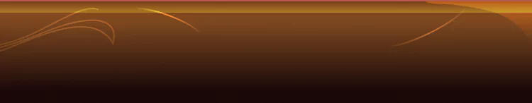 background category section